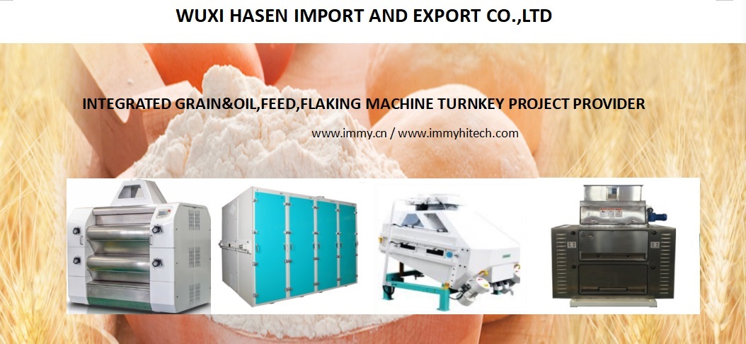 Corn Flake Machine Turnkey Project 